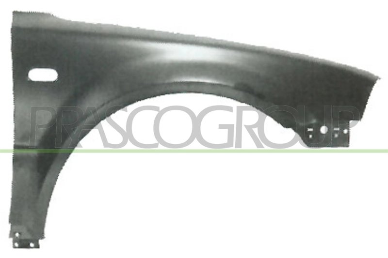 ARIPA PRASCO VG0533013 - Compatibil cu VW