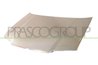 Capota motor Prasco VG0813100