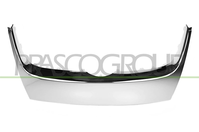 Banda de protectie, grila radiator Prasco VG5202206
