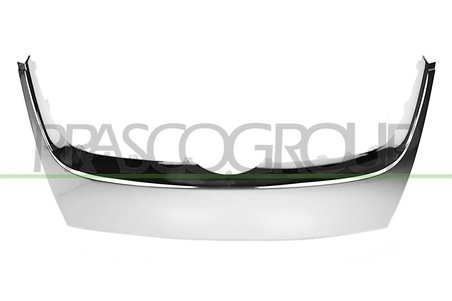 Banda de protectie, grila radiator Prasco VG5202206
