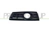 GRILA VENTILATIE, BARA PROTECTIE PRASCO VG6202134 - Compatibil cu VW