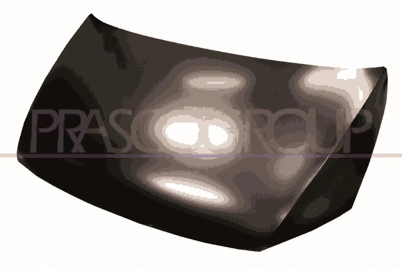 Capota motor Prasco VG9073100