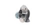 Set rulment roata SKF VKBA 3587
