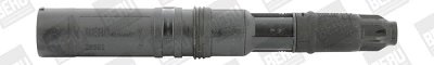 Bobina de inductie BorgWarner (BERU) ZS552