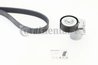 SET CUREA TRANSMISIE CU CANELURI CONTINENTAL 6PK1130K3 - Compatibil cu AUDI, SEAT, SKODA, VW