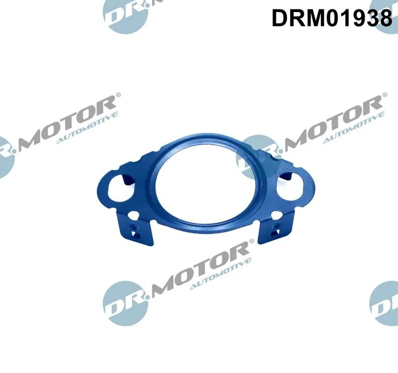 Garnitura, conducta supapa-AGR Dr.Motor Automotive DRM01938