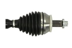 Planetara Pascal G2S018PC