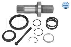ARBORE, DIFERENTIAL MEYLE 100 498 0251 - Compatibil cu VW