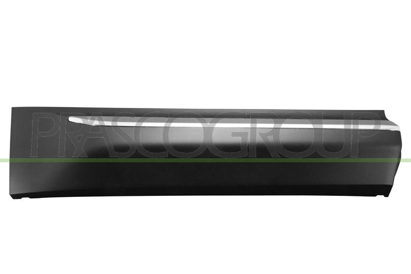 ELEMENTE DECORATIVE/PROTECTIE, PORTIERA PRASCO SK8101463 - Piesa auto compatibila cu mai multe marci