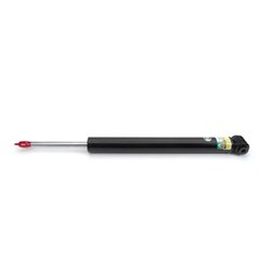 Amortizor Arnott SKE-3827