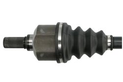 Planetara Pascal G2C187PC