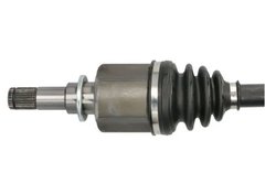 Planetara Pascal G23007PC