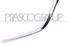 Banda de protectie, grila radiator Prasco MZ3332204