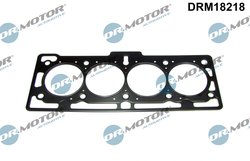Garnitura chiuloasa Dr.Motor Automotive DRM18218