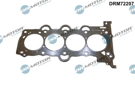 Garnitura chiuloasa Dr.Motor Automotive DRM72207