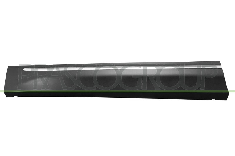 Elemente decorative/protectie, portiera Prasco SK8101414