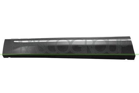 Elemente decorative/protectie, portiera Prasco SK8101414