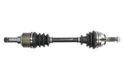 Planetara Pascal G2P011PC