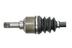 Planetara Pascal G2P011PC