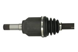 Planetara Pascal G2D011PC