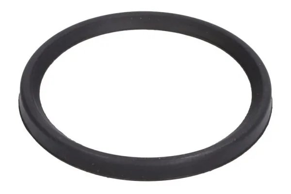 INEL ETANSARE, FURTUN AER SUPRAALIMENTARE THERMOTEC DCC079TT - Compatibil cu RENAULT