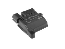 Unitate de control bujii incandescente BorgWarner (BERU) GSE