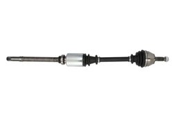 Planetara Pascal G2P019PC