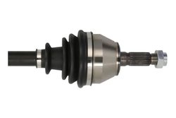 Planetara Pascal G2P019PC