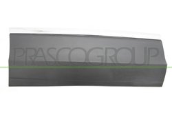 ELEMENTE DECORATIVE/PROTECTIE, PORTIERA PRASCO VG8101463 - Piesa auto compatibila cu mai multe marci