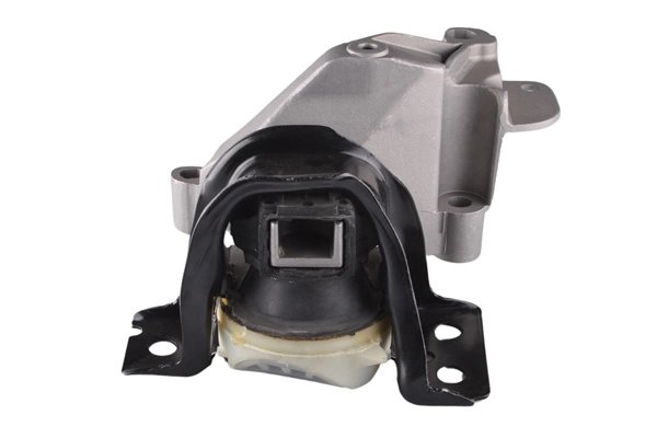 SUPORT MOTOR TEDGUM TED60891 - Compatibil cu DACIA, RENAULT