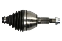 Planetara Pascal G20046PC