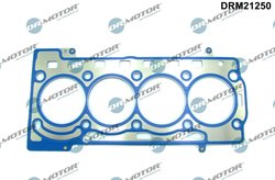 Garnitura chiuloasa Dr.Motor Automotive DRM21250