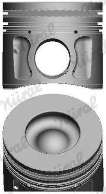 Piston Nural 87-439107-10