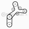 Set distributie curea CONTINENTAL CT1237K2PRO