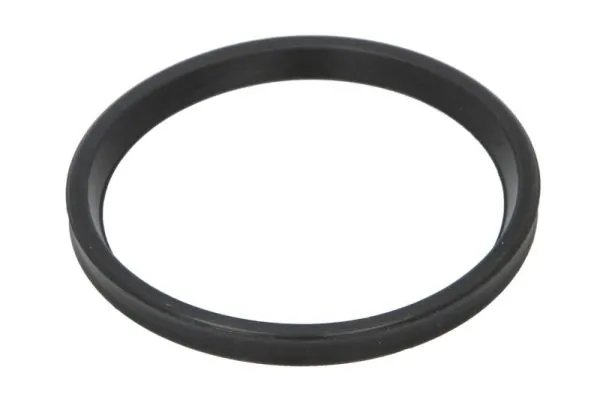 Inel etansare, furtun aer supraalimentare Thermotec DCR278TT