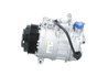 Compresor climatizare PSH 090.555.023.000