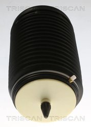 ARC PNEUMATIC DIRECTIE TRISCAN 8720 29204 - Compatibil cu AUDI
