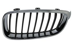 GRILA RADIATOR BLIC 6502-07-0081991GP - Compatibil cu BMW