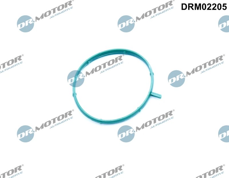 Garnitura, carcasa termostat Dr.Motor Automotive DRM02205
