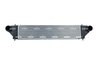 Intercooler NRF 309135