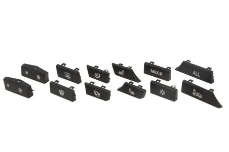 element de control,aer conditionat BLIC 1000-00-0067111SP