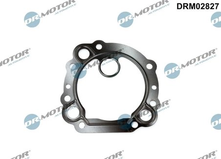 Garnitura ventil AGR Dr.Motor Automotive DRM02827