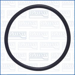 GARNITURA, POMPA COMBUSTIBIL AJUSA 16117000 - Compatibil cu FORD, FORD ASIA & OCEANIA, FORD USA, HONDA, LINCOLN