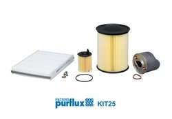 SET FILTRE PURFLUX KIT25 - Compatibil cu FORD, VOLVO