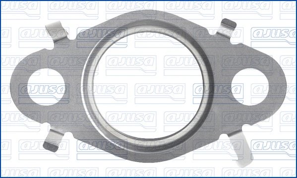 Garnitura, conducta supapa-AGR Ajusa 01576300