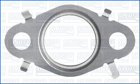 Garnitura, conducta supapa-AGR Ajusa 01576300
