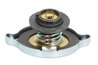 Buson radiator Thermotec D30014TT
