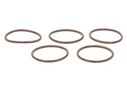 GARNITURA, POMPA INJECTIE ENGITECH ENT230163 - Compatibil cu MERCEDES-BENZ