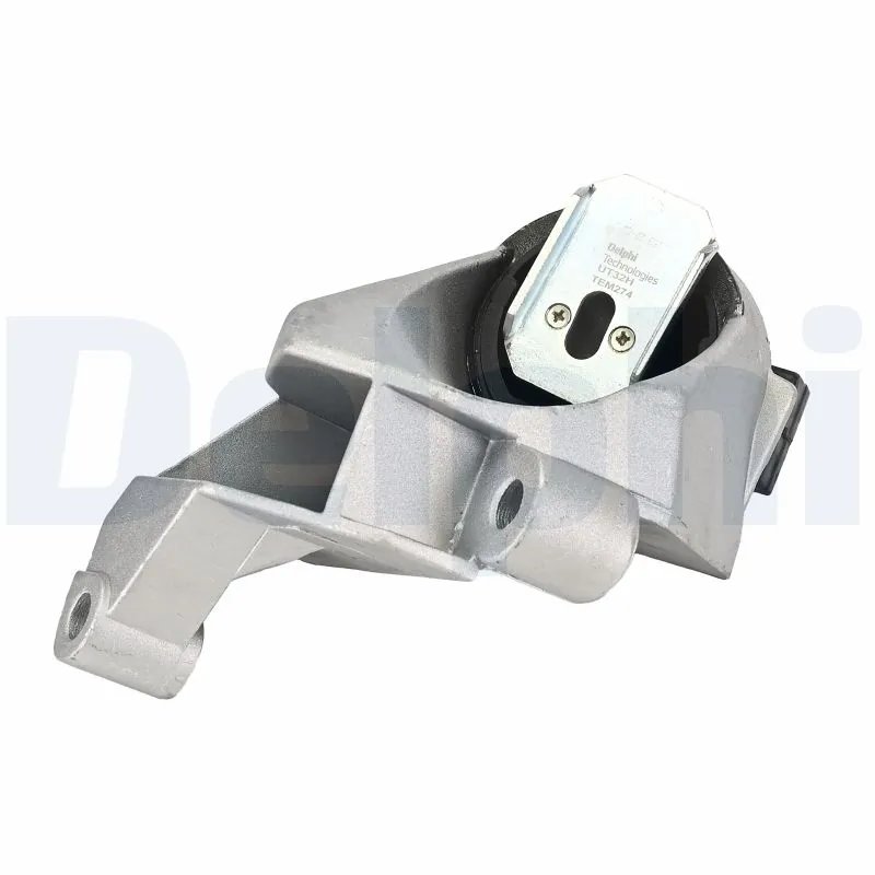 Suport motor Delphi TEM274