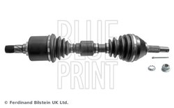 Planetara Blue Print ADBP890053